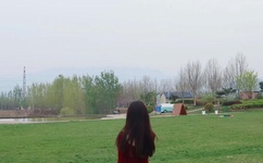 隐婚是什么意思